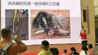 浙江自然博物院回應小志愿者講解流浪貓危害被投訴：表述不嚴謹