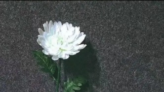哈爾濱工業(yè)大學能源科學與工程學院夏松波教授逝世