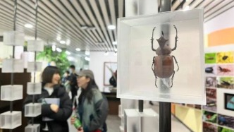 媒體：讓高校博物館的大門再開大些