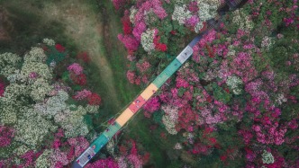 中国城市发展日报｜去贵州打开春天；寻找杭州“顶流”密码