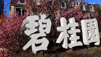 碧桂园：今年前3个月销售额77.7亿元，做好有效销售为保交房提供财务支持