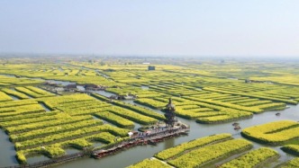 江苏第四座县级国家历史文化名城，为什么是兴化