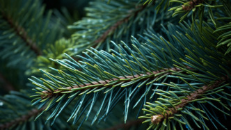 珠海市檔案館原副館長(zhǎng)吳廣平因突發(fā)疾病離世，享年59歲