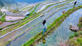 千年梯田出“深闺”：农耕文明孕育出“大地诗篇”，何以长红？