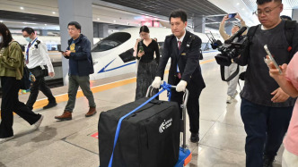 直擊寵物貓上高鐵：托運需辦哪些手續？途中出現不適怎么辦？