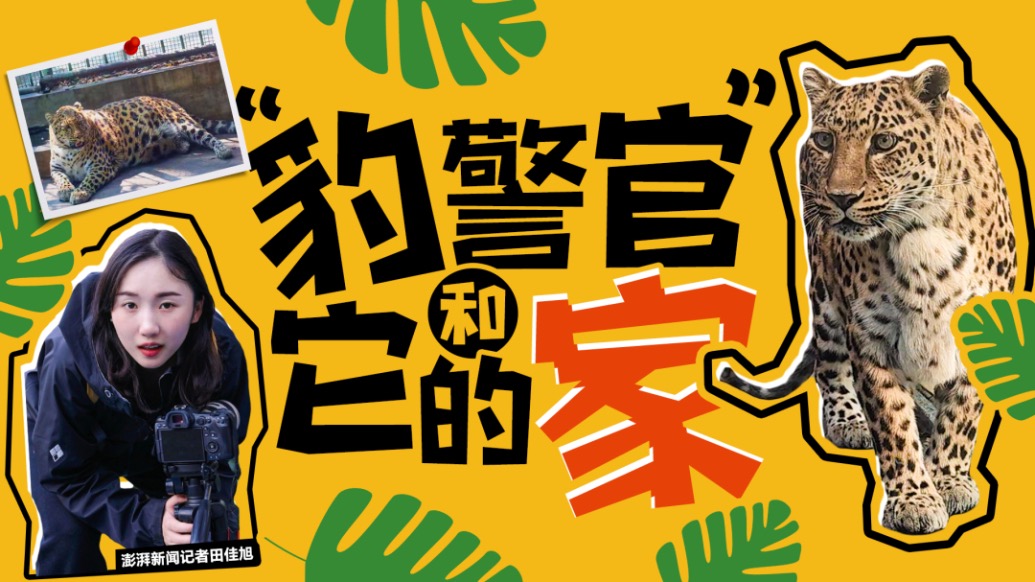 小浪花Zoo Walk丨“豹警官”和它的家