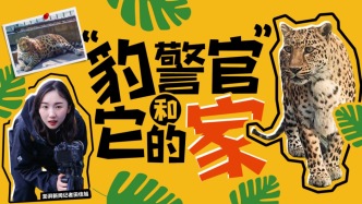 小浪花Zoo Walk丨“豹警官”和它的家