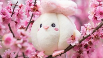 對話武漢文創玩偶“蒜鳥”設計師：走紅因符合武漢人松弛的精神狀態
