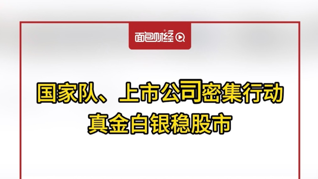 國家隊、上市公司密集行動，真金白銀穩(wěn)股市
