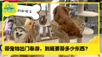 帶寵物出門春游，到底要帶多少東西？｜澎友好會花
