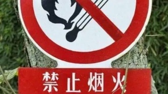 北京9區發布森林火險紅警：林區植被極易燃燒，嚴禁野外用火