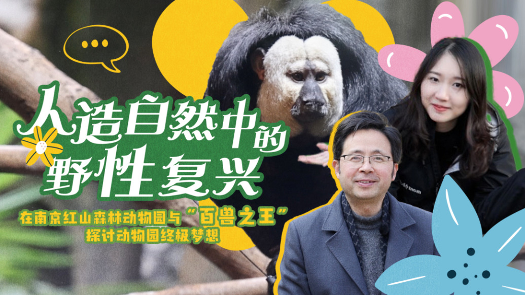 小浪花Zoo Walk丨一座網紅動物園的“世界觀”