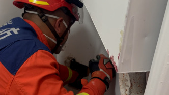 奶猫被困在装饰墙内，消防切割墙面救猫