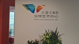 小浪花看自贸港封关丨打造全球文物艺术品流通平台，海南进度条到哪了？