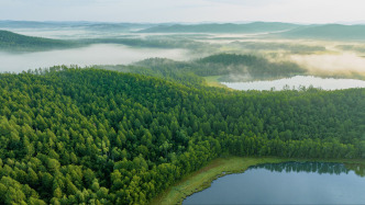 防灭火形势十分严峻！国家森防指发布高森林火险橙色预警