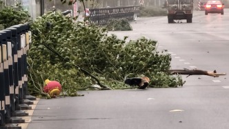 大風都出現在哪里？全國大風超過14級的站有5個