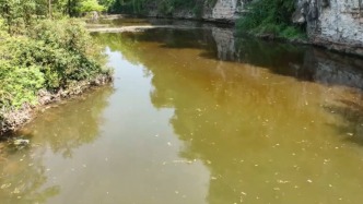湖南慈利一河段水域顏色異常，初步查明三大原因