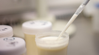 中欧出现口蹄疫，英国禁止从欧盟国家携带肉类和乳制品入境