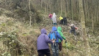 成都“打野”流行，有村民种植百元一斤药材被误踩损毁