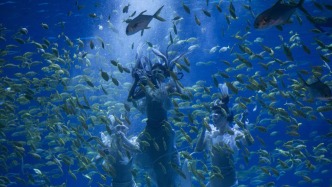 直播丨“美人魚”世界級PK燃爆上海！一起走進決賽現場