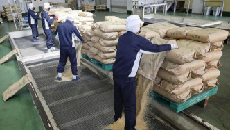 日本大米價(jià)格連漲14周，5公斤約合200元人民幣