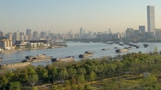 今早黃浦江上船舶排長隊？上海海事局：高峰瞬時流量約200艘次/小時