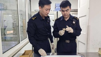 去年上海海关截获外来物种255种次同比增长超两倍，其中异宠近六千只