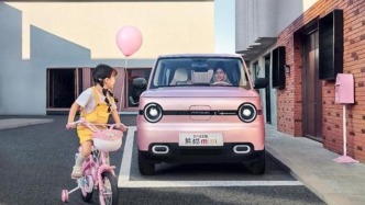 起售价不到5万元，新款熊猫mini元气熊来了