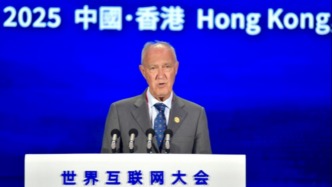 弗朗西斯·高銳：用好概念工具助力彌合數字鴻溝