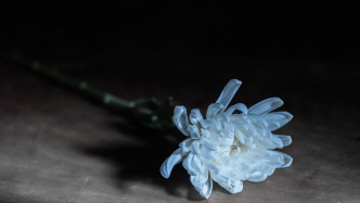 106歲八路軍女戰(zhàn)士耿真逝世