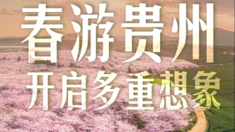 春游贵州 花样澎湃丨一场山水与人文交织的春日叙事