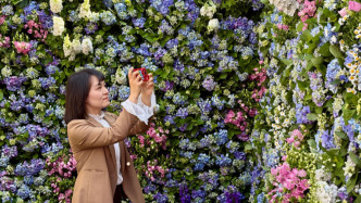 2025上海國際花展本周五開幕，9個花卉新品種將全市首發
