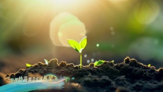 马上评｜守一扇心窗，护绿苗成长