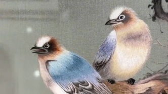 讓花和鳥“活”起來，繡娘以300種色線繡出雙面玉蘭花鳥圖