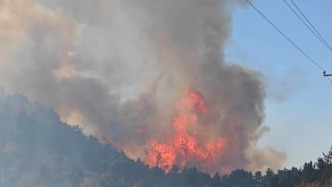 山西森林火灾现场：风向突变火头瞬间30多米高，消防员紧急避险