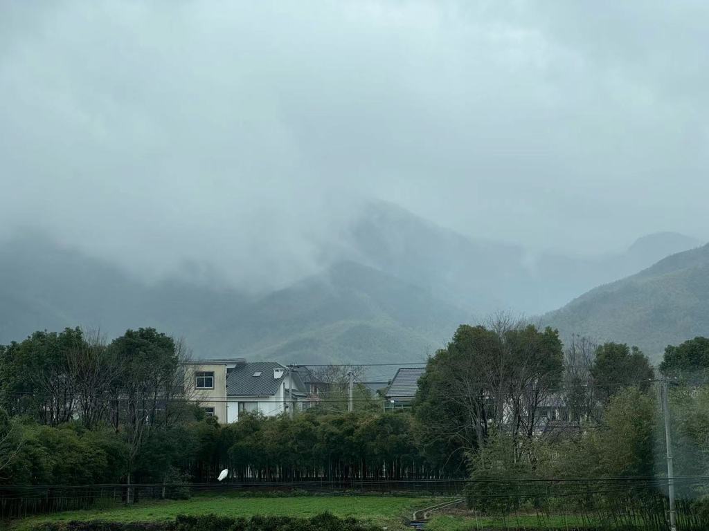 和讯新闻:骆驼e卡-自我田野｜从城市搬到农村生活，我找回了真实和附近