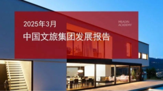 2025年3月中國文旅集團發展報告