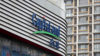 凱德投資申報旗下首支中國消費基礎(chǔ)設(shè)施公募REIT，資產(chǎn)規(guī)模約28億元