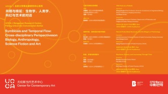 慢賞藝術 | UCCA×北京大學博古睿研究中心系列：共棲與綿延——以蟻為序的生命網絡
