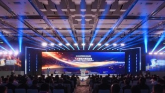 2025年世界互联网大会亚太峰会人工智能大模型论坛举行