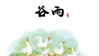 谷雨時節養生要點——祛濕排寒+養肝護脾