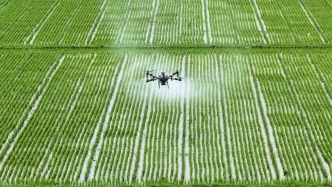 農業未來十年展望：預計糧食單產水平將提高7.8%，達到421千克/畝
