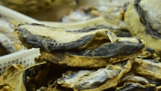 奉化餐桌硬核名菜——烏狼鲞，你敢吃嗎？