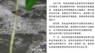 網民反映養豬場污水直排、非法捕撈，湖南婁底環境部門立案查處