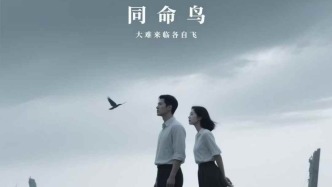 一個肝臟外科醫(yī)生眼中的“同命鳥命題”