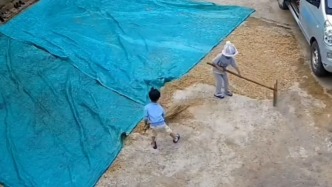 突然下雨家中無大人，6歲哥哥帶5歲妹妹扯篷布“搶救”糧食