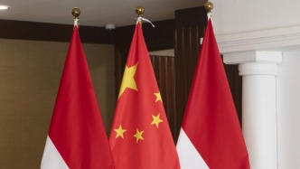 王毅同印尼外長(zhǎng)蘇吉約諾會(huì)談