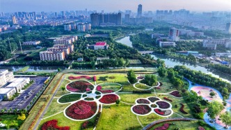 读懂城市丨“花木之乡”沭阳，一场持续五年的“诚信实验”