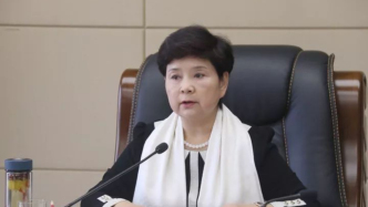 江西九江市人大常委會原副主任戴曉慧主動交代問題，接受審查調查