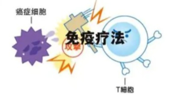 實體腫瘤患者如何尋找適合自身的免疫細胞療法